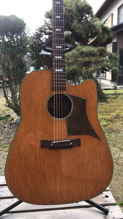 Hawaii guitar 超レア物‼️ | Buyee日本代購服務| 於Mercari購物bot-online